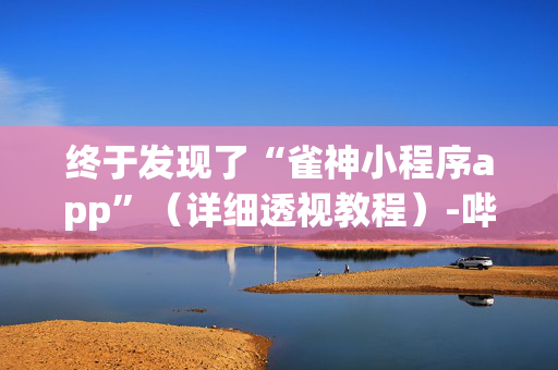 终于发现了“雀神小程序app”（详细透视教程）-哔哩哔哩