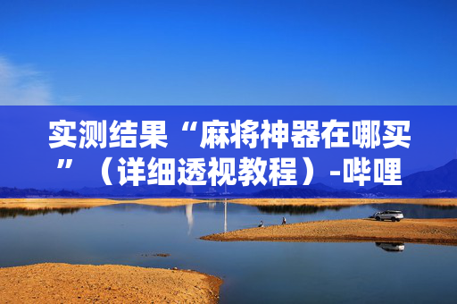 实测结果“麻将神器在哪买”（详细透视教程）-哔哩哔哩