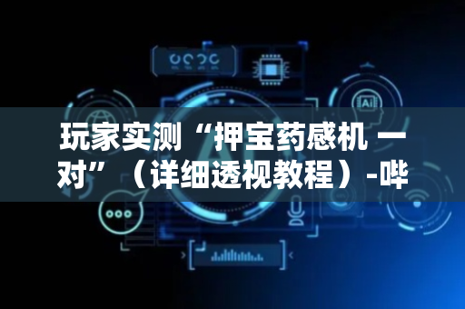 玩家实测“押宝药感机 一对”（详细透视教程）-哔哩哔哩