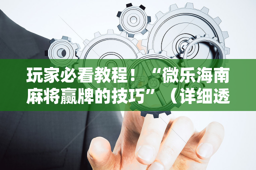 玩家必看教程！“微乐海南麻将赢牌的技巧”（详细透视教程）-哔哩哔哩