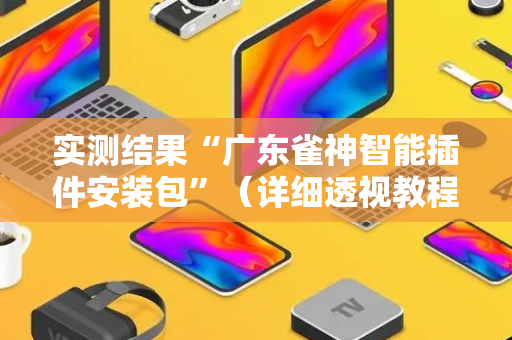 实测结果“广东雀神智能插件安装包”（详细透视教程）-哔哩哔哩