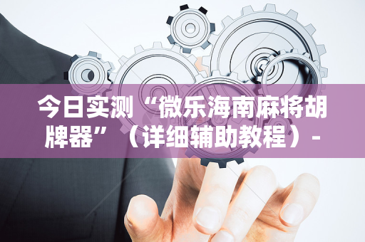 今日实测“微乐海南麻将胡牌器”（详细辅助教程）-哔哩哔哩