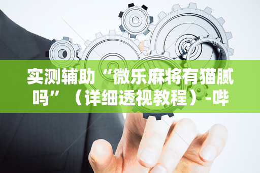实测辅助“微乐麻将有猫腻吗”（详细透视教程）-哔哩哔哩