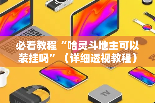 必看教程“哈灵斗地主可以装挂吗”（详细透视教程）-哔哩哔哩