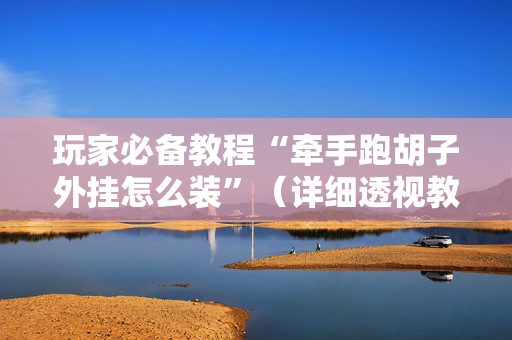 玩家必备教程“牵手跑胡子外挂怎么装”（详细透视教程）-哔哩哔哩