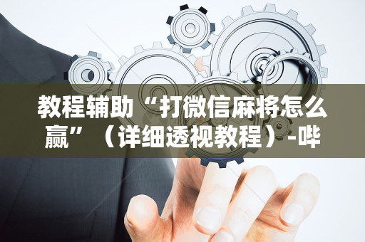 教程辅助“打微信麻将怎么赢”（详细透视教程）-哔哩哔哩