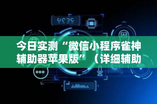 今日实测“微信小程序雀神辅助器苹果版”（详细辅助教程）-哔哩哔哩