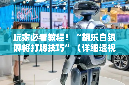 玩家必看教程！“胡乐白银麻将打牌技巧”（详细透视教程）-哔哩哔哩
