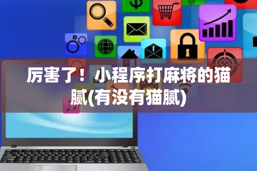 厉害了！小程序打麻将的猫腻(有没有猫腻)