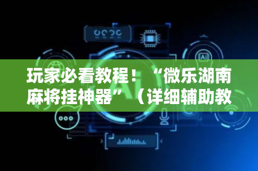 玩家必看教程！“微乐湖南麻将挂神器”（详细辅助教程）-哔哩哔哩
