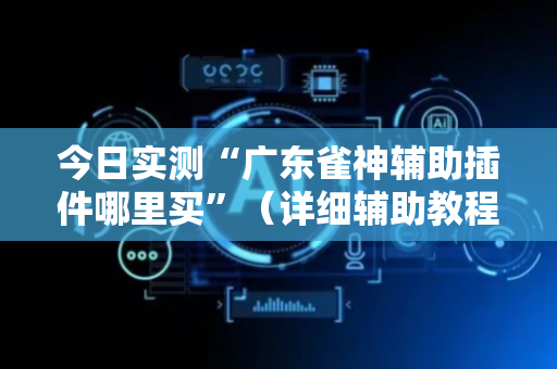 今日实测“广东雀神辅助插件哪里买”（详细辅助教程）-哔哩哔哩