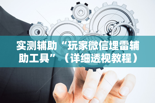 实测辅助“玩家微信埋雷辅助工具”（详细透视教程）-哔哩哔哩