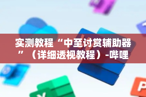 实测教程“中至讨赏辅助器”（详细透视教程）-哔哩哔哩