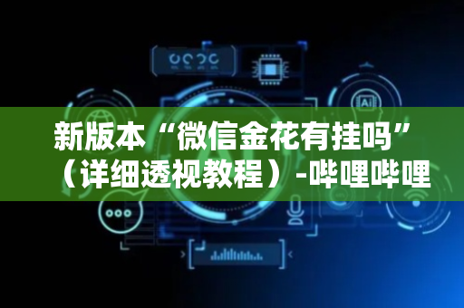 新版本“微信金花有挂吗”（详细透视教程）-哔哩哔哩