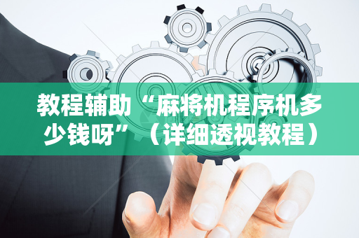 教程辅助“麻将机程序机多少钱呀”（详细透视教程）-哔哩哔哩