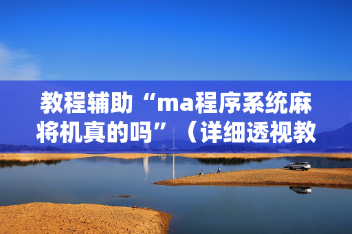 教程辅助“ma程序系统麻将机真的吗”（详细透视教程）-哔哩哔哩