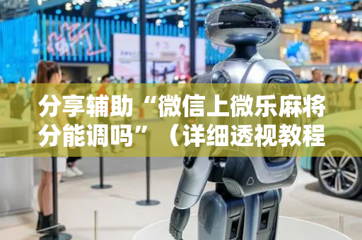 分享辅助“微信上微乐麻将分能调吗”（详细透视教程）-哔哩哔哩