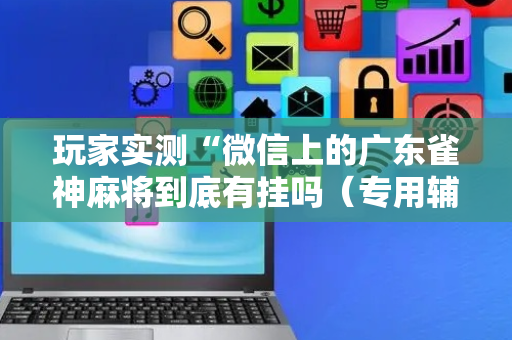 玩家实测“微信上的广东雀神麻将到底有挂吗（专用辅牌神器免安装）