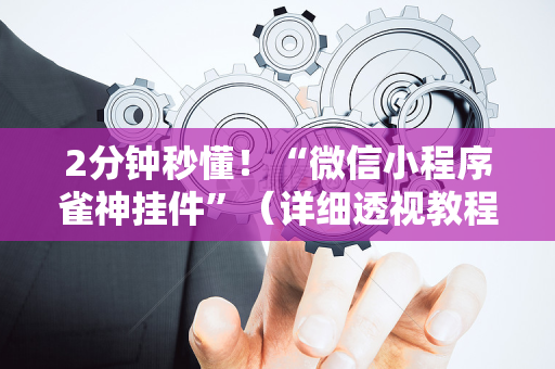2分钟秒懂！“微信小程序雀神挂件”（详细透视教程）-哔哩哔哩