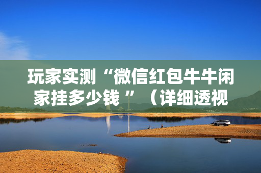 玩家实测“微信红包牛牛闲家挂多少钱 ”（详细透视教程）-哔哩哔哩