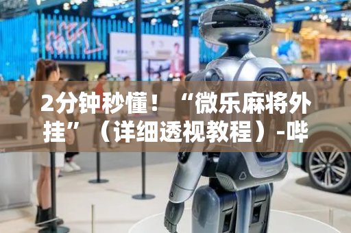 2分钟秒懂！“微乐麻将外挂”（详细透视教程）-哔哩哔哩