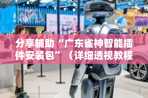 分享辅助“广东雀神智能插件安装包”（详细透视教程）-哔哩哔哩