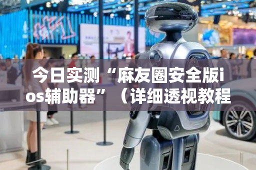 今日实测“麻友圈安全版ios辅助器”（详细透视教程）-哔哩哔哩