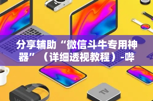 分享辅助“微信斗牛专用神器”（详细透视教程）-哔哩哔哩