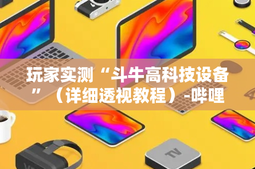 玩家实测“斗牛高科技设备”（详细透视教程）-哔哩哔哩