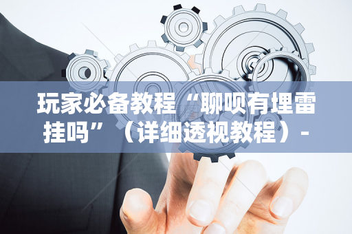玩家必备教程“聊呗有埋雷挂吗”（详细透视教程）-哔哩哔哩