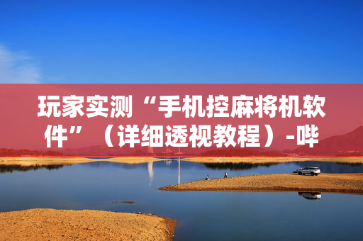 玩家实测“手机控麻将机软件”（详细透视教程）-哔哩哔哩