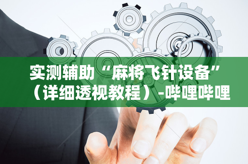 实测辅助“麻将飞针设备”（详细透视教程）-哔哩哔哩