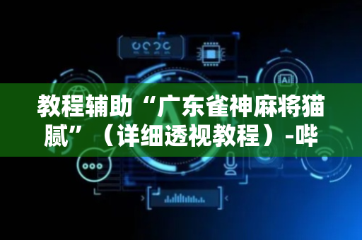 教程辅助“广东雀神麻将猫腻”（详细透视教程）-哔哩哔哩