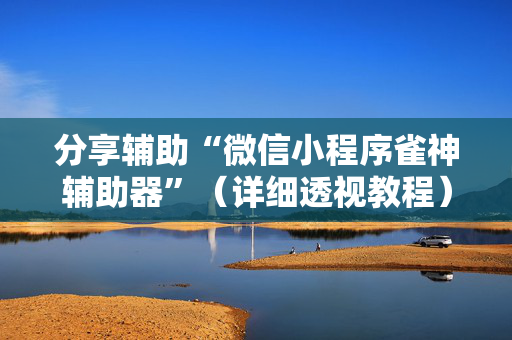 分享辅助“微信小程序雀神辅助器”（详细透视教程）-哔哩哔哩