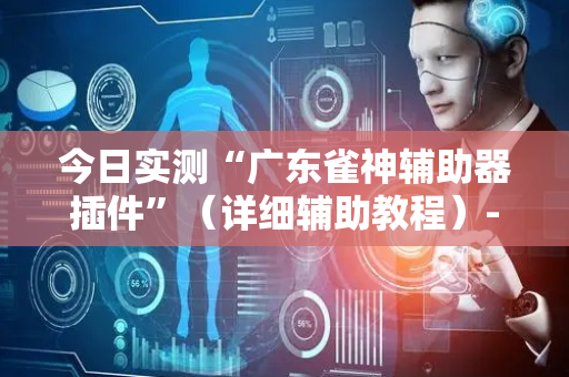 今日实测“广东雀神辅助器插件”（详细辅助教程）-哔哩哔哩