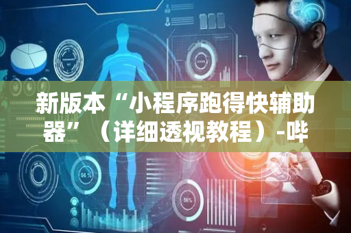 新版本“小程序跑得快辅助器”（详细透视教程）-哔哩哔哩