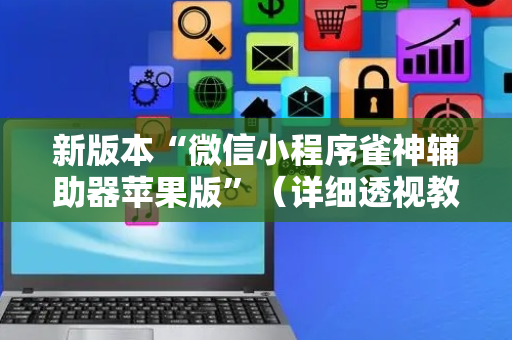 新版本“微信小程序雀神辅助器苹果版”（详细透视教程）-哔哩哔哩