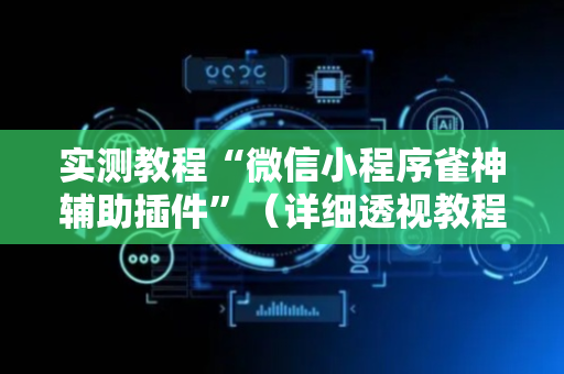 实测教程“微信小程序雀神辅助插件”（详细透视教程）-哔哩哔哩