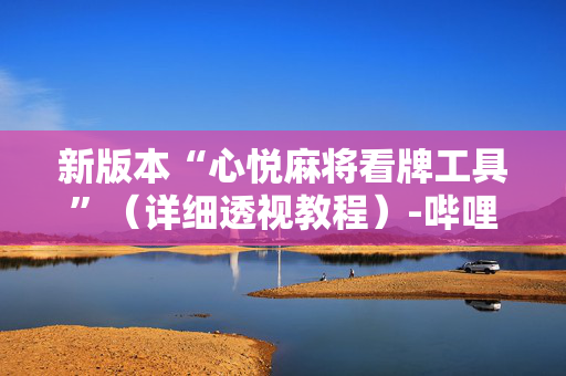 新版本“心悦麻将看牌工具”（详细透视教程）-哔哩哔哩