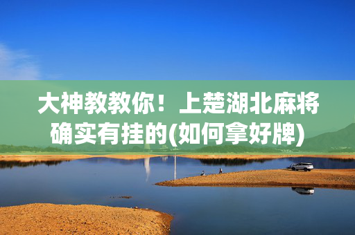 大神教教你！上楚湖北麻将确实有挂的(如何拿好牌)