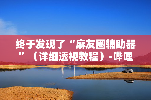 终于发现了“麻友圈辅助器”（详细透视教程）-哔哩哔哩