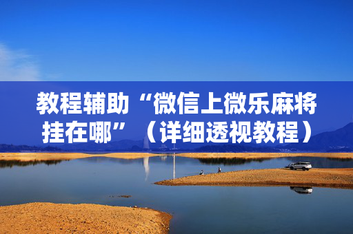 教程辅助“微信上微乐麻将挂在哪”（详细透视教程）-哔哩哔哩