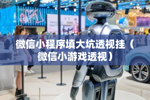 微信小程序填大坑透视挂（微信小游戏透视）