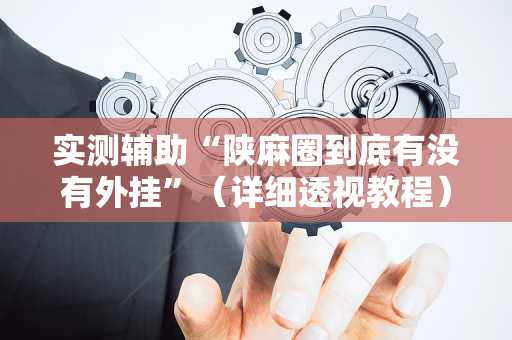 实测辅助“陕麻圈到底有没有外挂”（详细透视教程）-哔哩哔哩