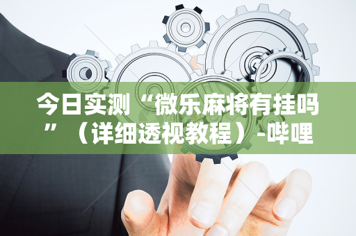 今日实测“微乐麻将有挂吗”（详细透视教程）-哔哩哔哩