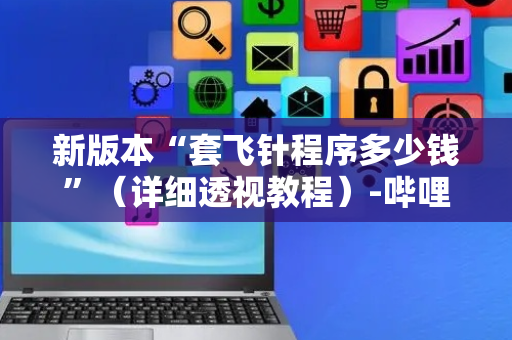 新版本“套飞针程序多少钱”（详细透视教程）-哔哩哔哩