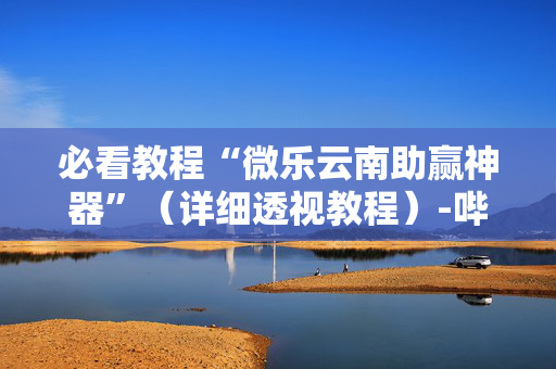 必看教程“微乐云南助赢神器”（详细透视教程）-哔哩哔哩
