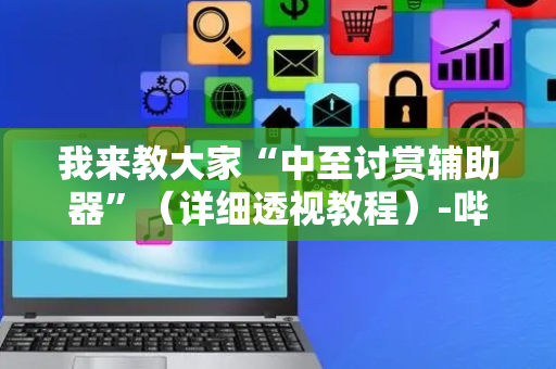 我来教大家“中至讨赏辅助器”（详细透视教程）-哔哩哔哩
