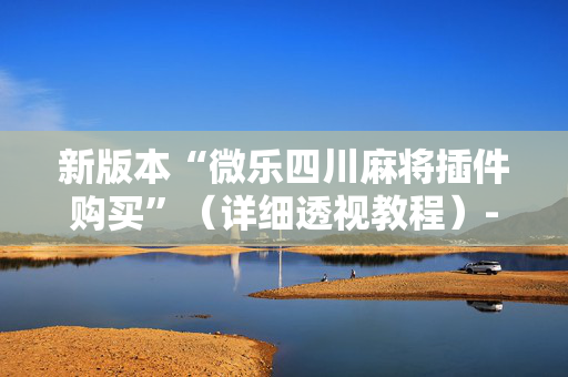 新版本“微乐四川麻将插件购买”（详细透视教程）-哔哩哔哩