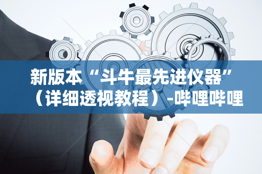新版本“斗牛最先进仪器”（详细透视教程）-哔哩哔哩